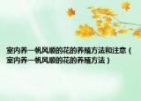 室内养一帆风顺的花的养殖方法和注意（室内养一帆风顺的花的养殖方法）