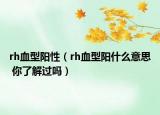 rh血型阳性（rh血型阳什么意思 你了解过吗）