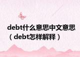 debt什么意思中文意思（debt怎样解释）