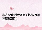 北方7月份种什么菜（北方7月初种哪些蔬菜）