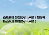 西瓜到什么程度可以采摘（如何判断西瓜什么时候可以采摘）