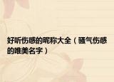 好听伤感的昵称大全（骚气伤感的唯美名字）