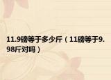 11.9磅等于多少斤（11磅等于9.98斤对吗）