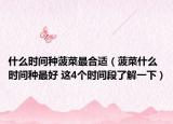 什么时间种菠菜最合适（菠菜什么时间种最好 这4个时间段了解一下）