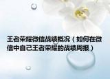 王者荣耀微信战绩概况（如何在微信中自己王者荣耀的战绩周报）