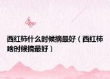 西红柿什么时候摘最好（西红柿啥时候摘最好）