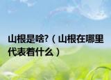 山根是啥?（山根在哪里 代表着什么）