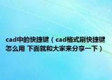 cad中的快捷键（cad格式刷快捷键怎么用 下面就和大家来分享一下）