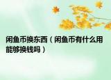 闲鱼币换东西（闲鱼币有什么用 能够换钱吗）