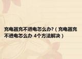 充电器充不进电怎么办?（充电器充不进电怎么办 4个方法解决）