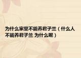 为什么家里不能养君子兰（什么人不能养君子兰 为什么呢）