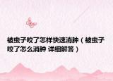被虫子咬了怎样快速消肿（被虫子咬了怎么消肿 详细解答）