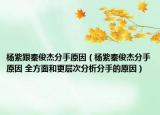 杨紫跟秦俊杰分手原因（杨紫秦俊杰分手原因 全方面和更层次分析分手的原因）