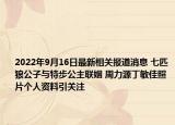 2022年9月16日最新相关报道消息 七匹狼公子与特步公主联姻 周力源丁敏佳照片个人资料引关注