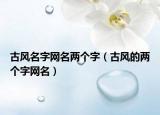 古风名字网名两个字（古风的两个字网名）