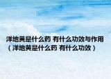 洋地黄是什么药 有什么功效与作用（洋地黄是什么药 有什么功效）