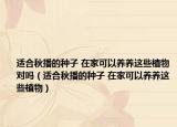 适合秋播的种子 在家可以养养这些植物对吗（适合秋播的种子 在家可以养养这些植物）