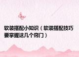 软装搭配小知识（软装搭配技巧 要掌握这几个窍门）