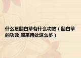 什么是翻白草有什么功效（翻白草的功效 原来用处这么多）