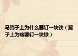 马蹄子上为什么要钉一块铁（蹄子上为啥要钉一块铁）