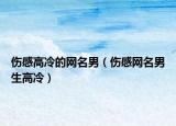 伤感高冷的网名男（伤感网名男生高冷）