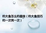钓大鱼怎么钓最快（钓大鱼技巧 钓一次爽一次）