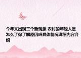 今年又出现三个新现象 农村的年轻人是怎么了你了解原因吗具体情况详细内容介绍