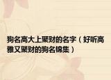 狗名高大上聚财的名字（好听高雅又聚财的狗名锦集）