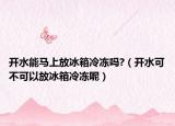 开水能马上放冰箱冷冻吗?（开水可不可以放冰箱冷冻呢）