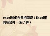 excel如何合并相同项（Excel相同项合并 一起了解）