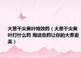 大葱干尖黄叶特效药（大葱干尖黄叶打什么药 用这些药让你的大葱更美）