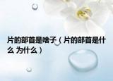 片的部首是啥子（片的部首是什么 为什么）