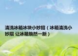 清洗冰箱冰块小妙招（冰箱清洗小妙招 让冰箱焕然一新）
