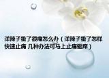 洋辣子蛰了很痛怎么办（洋辣子蛰了怎样快速止痛 几种办法可马上止痛驱痒）