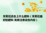 茉莉花适合上什么肥料（茉莉花最好的肥料 需要注意这些内容）