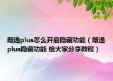 朗逸plus怎么开启隐藏功能（朗逸plus隐藏功能 给大家分享教程）