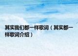 其实我们都一样歌词（其实都一样歌词介绍）