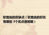 软路由的优缺点（软路由的好处有哪些 3个优点很明朗）
