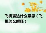 飞机表达什么意思（飞机怎么解释）