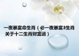 一夜暴富命生肖（必一夜暴富3生肖 关于十二生肖财富运）