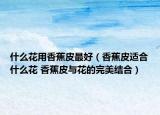 什么花用香蕉皮最好（香蕉皮适合什么花 香蕉皮与花的完美结合）