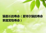 猫最长的寿命（夏特尔猫的寿命 家庭宠物寿命）