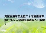 淘宝直通车怎么推广（淘宝直通车推广技巧 天猫淘宝直通车入门教学）