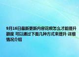 9月16日最新更新内容花呗怎么才能提升额度 可以通过下面几种方式来提升 详细情况介绍
