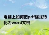 电脑上如何把pdf格式转化为word文档