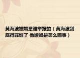 黄海波嫖娼是谁举报的（黄海波到底得罪谁了 他嫖娼是怎么回事）