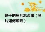 晒干的鱼片怎么做（鱼片如何晾晒）