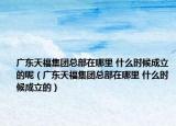 广东天福集团总部在哪里 什么时候成立的呢（广东天福集团总部在哪里 什么时候成立的）