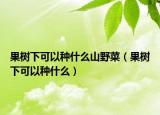 果树下可以种什么山野菜（果树下可以种什么）