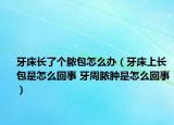 牙床长了个脓包怎么办（牙床上长包是怎么回事 牙周脓肿是怎么回事）